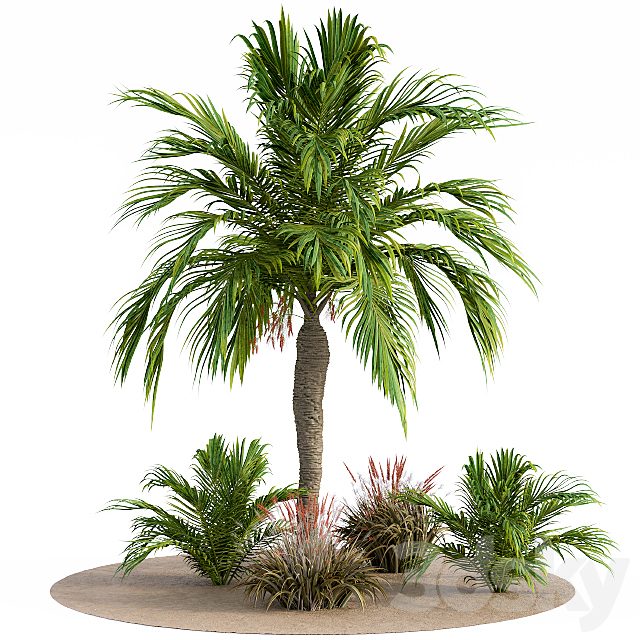 Garden Set Californication