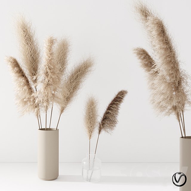 Set of pampas in vase