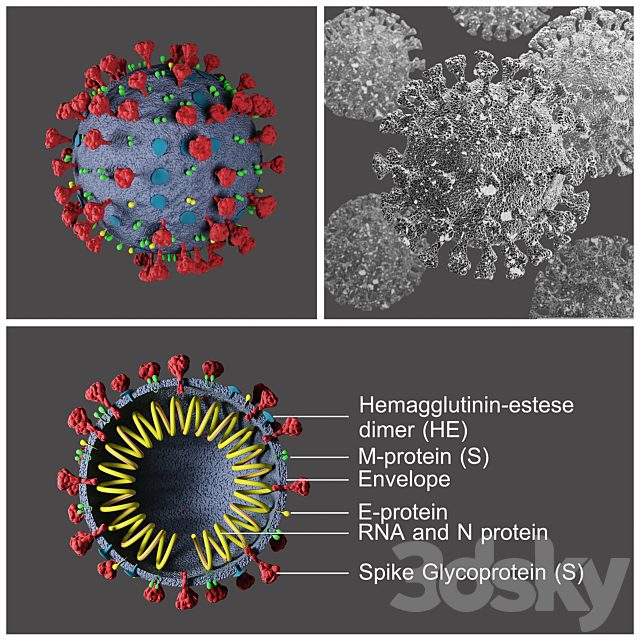 Covid-19/ Coronavirus