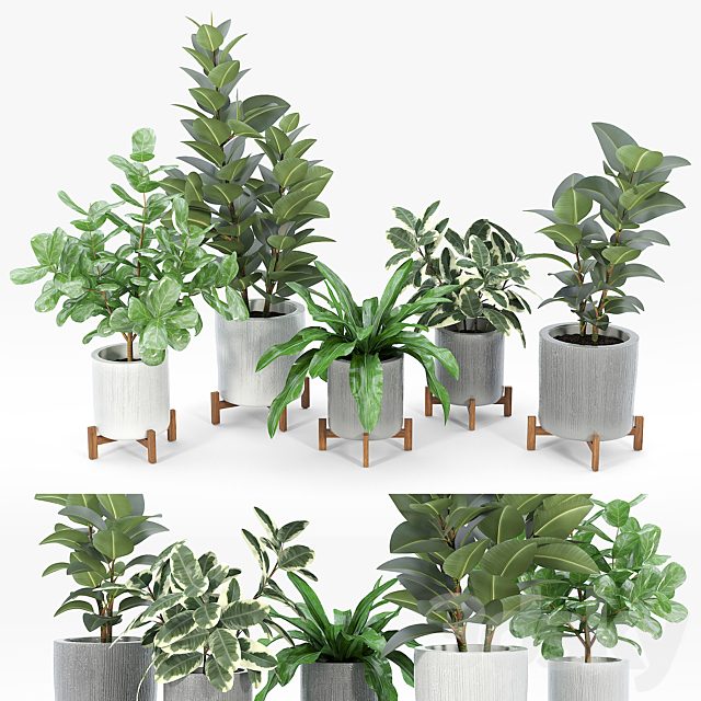 Bungalow Planter Collection
