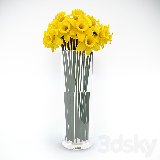 Tubular daffodil