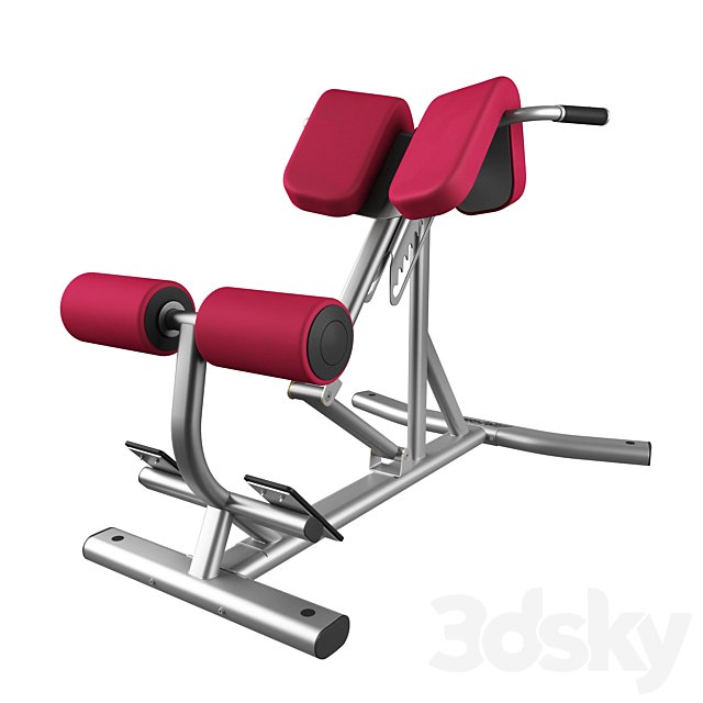 Lifefitness Signature Series Back Extension