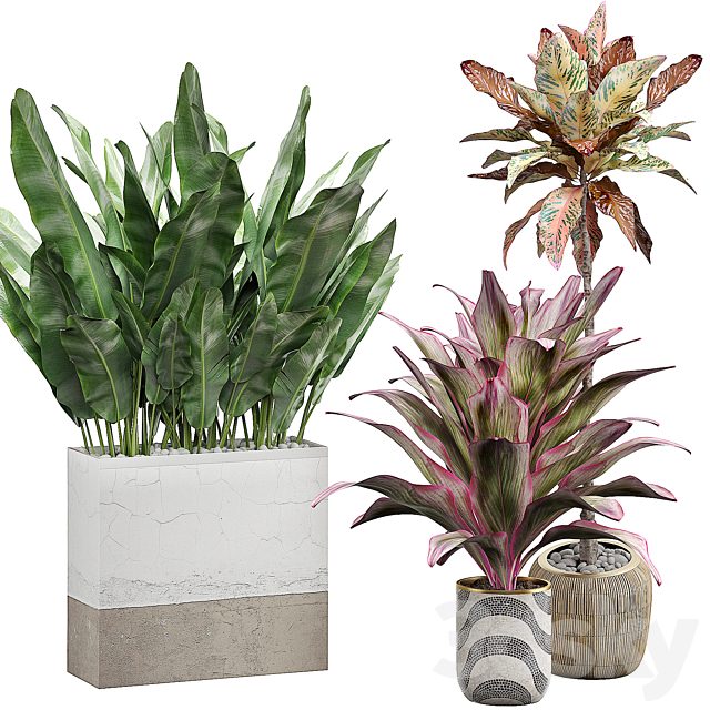INTERIOR FLOWER PACK 29