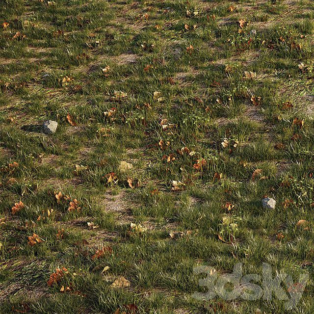 House Grass or Lawns