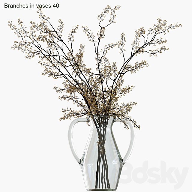 Branches in vases 40