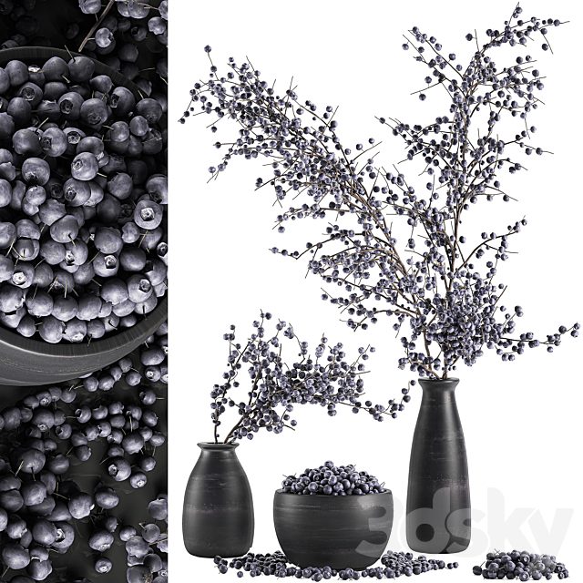 A collection of bouquets of branches with blueberries in black vases with blueberries, a bowl with berries, natural decor. Set 549.