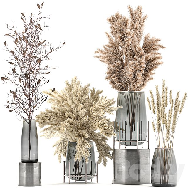 A collection of bouquets of dried flowers in glass vases with Pampas, branches, Cortaderia, pampas grass, reeds. Set 103.