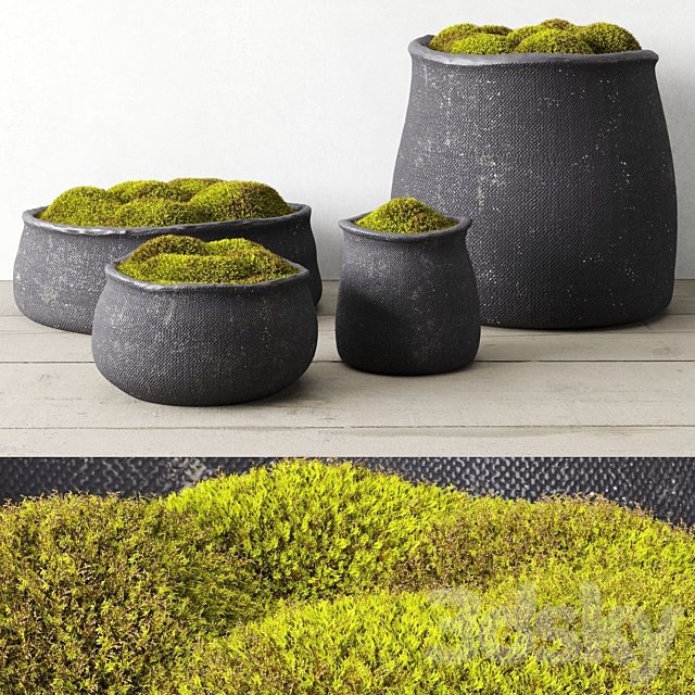 Crosshatch concrete vessel collection with moss