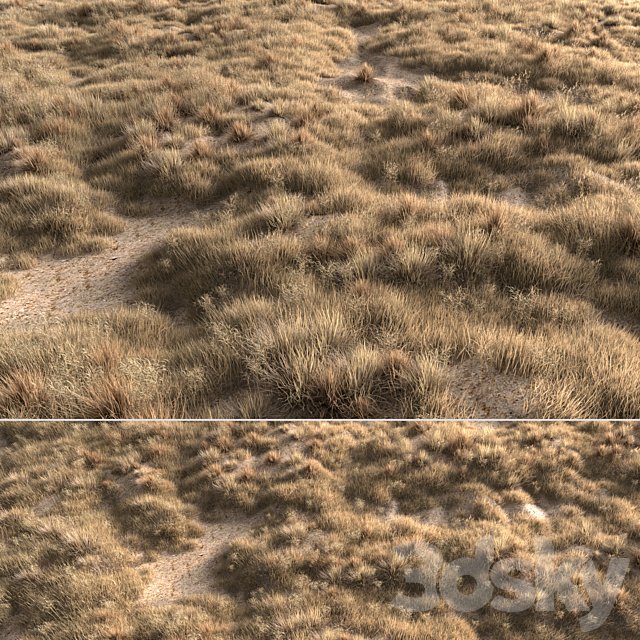 Dried grass