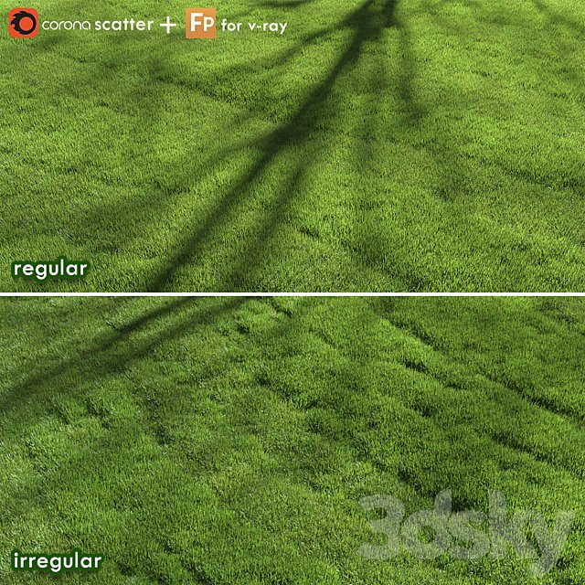lawn grass