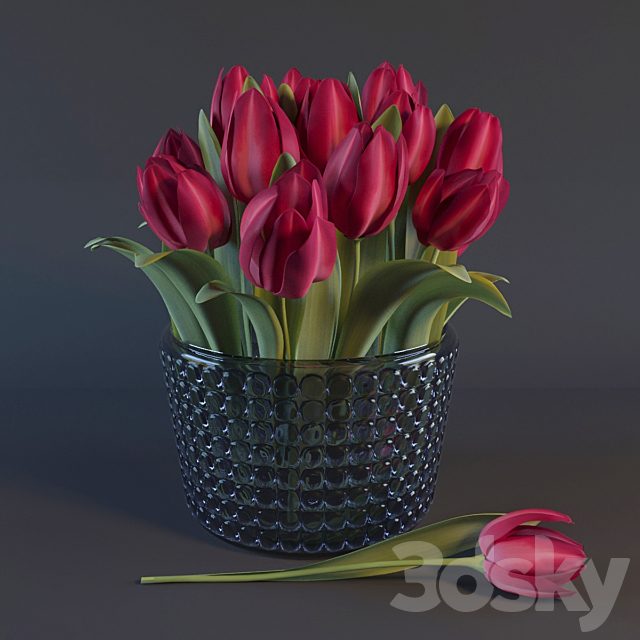 Red Tulips