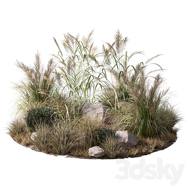 Outdoor Grass Pampas Garden Set.169