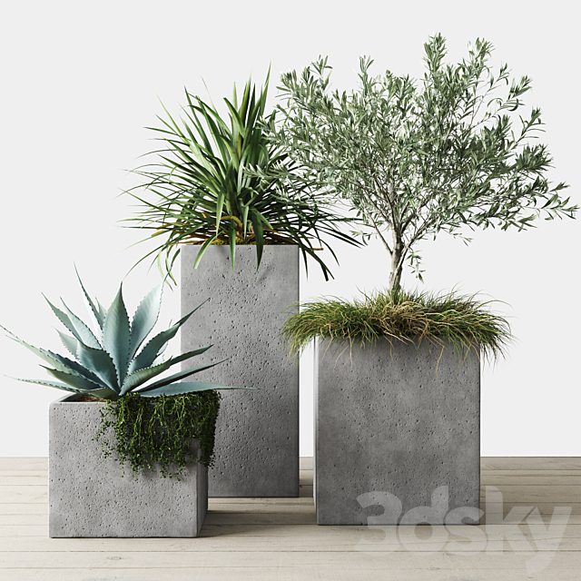 Outdoor Plants Set in Pottery Barn planters