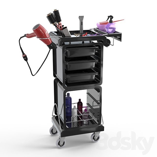 Hairdresser's set