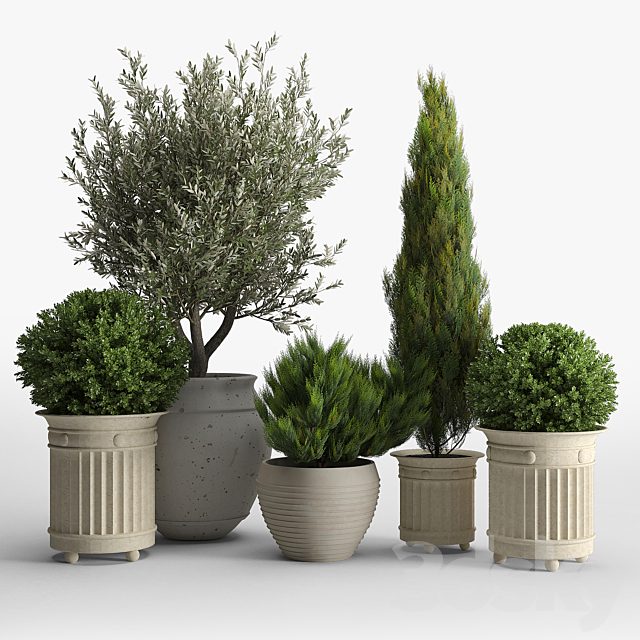 prescott planter set