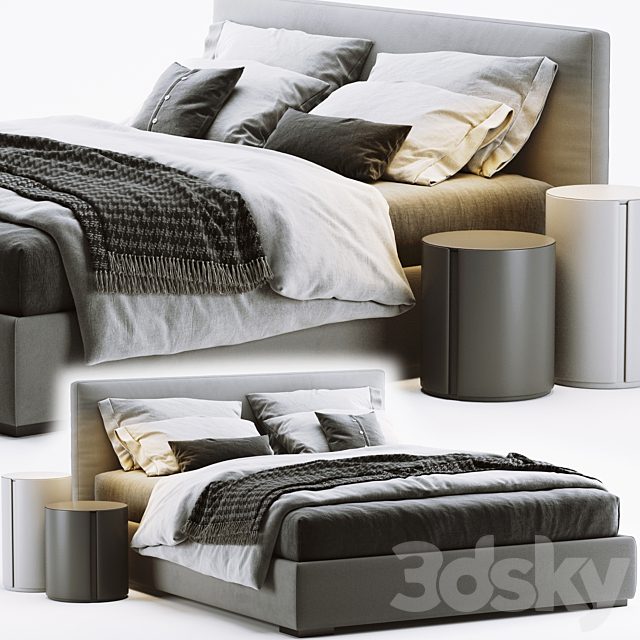 Meridiani Stone Bed