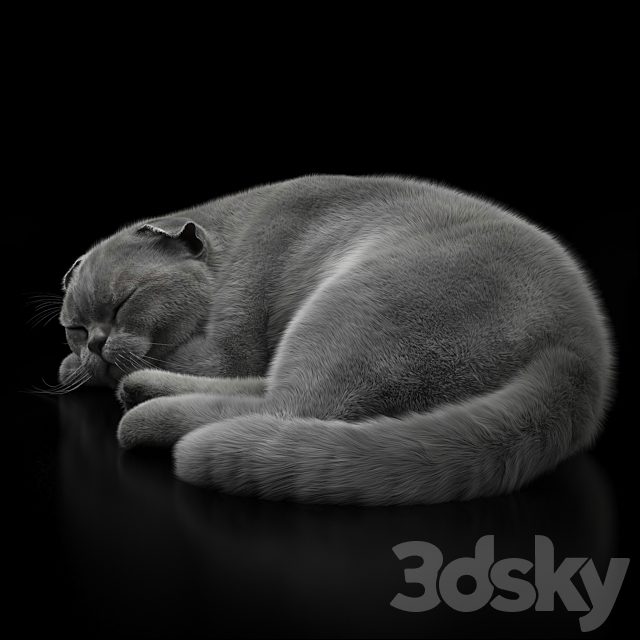 CAT 6 VRay