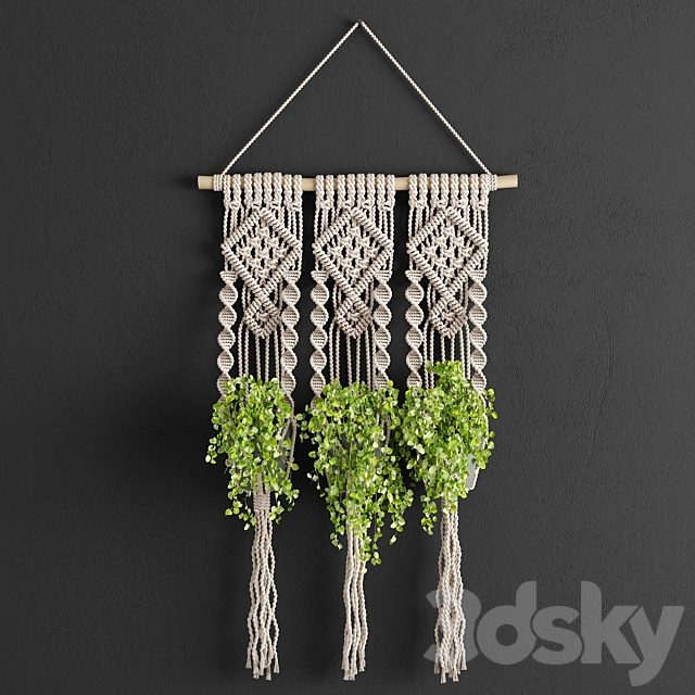 Macrame Planter