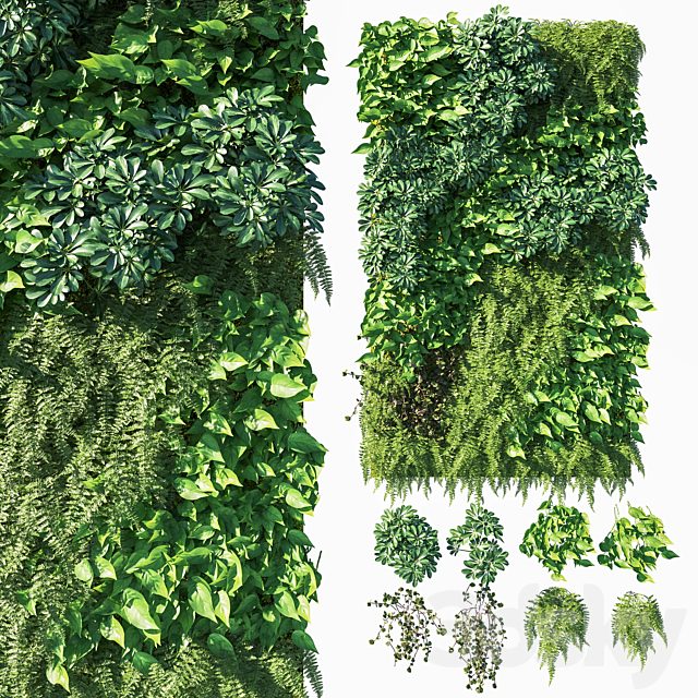 Vertical garden  Green wall 03