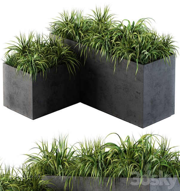 Outdoor Concrete Plant Box with Cereals and Green Grass