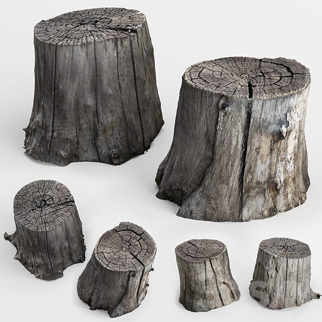 photoscan of two stumps