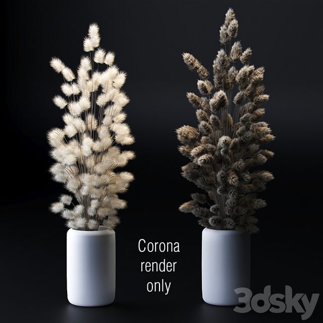Bouquet of dried flowers. 2 models