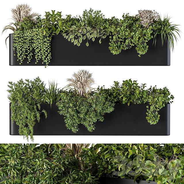 Plant Box on Wall 04