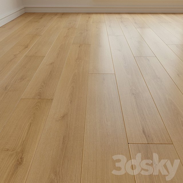 Laminate. Parquet. 160