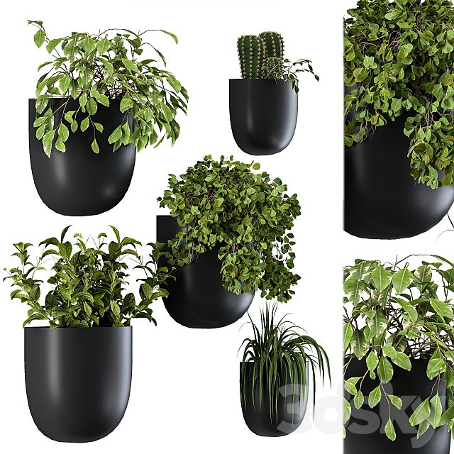 Plant Box on Wall 01