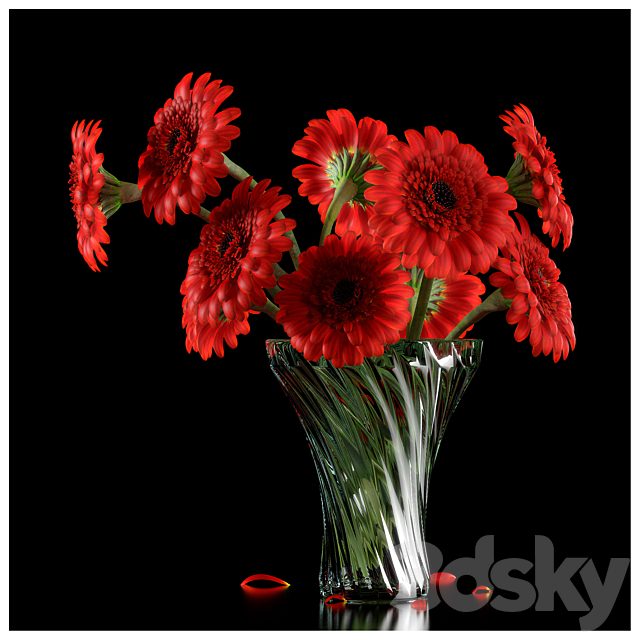 RED GERBERA