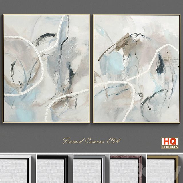Framed Canvas C-54