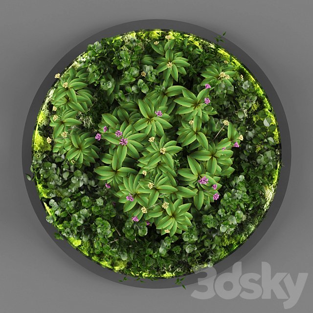 Vertical garden 113