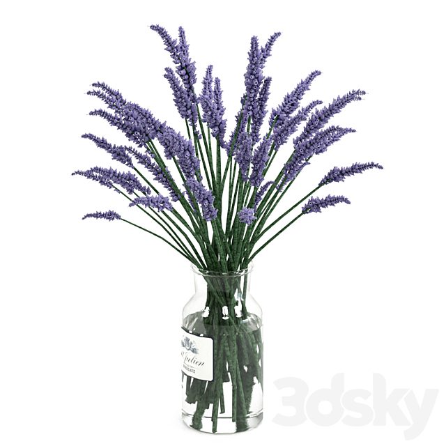 Lavender bouquet