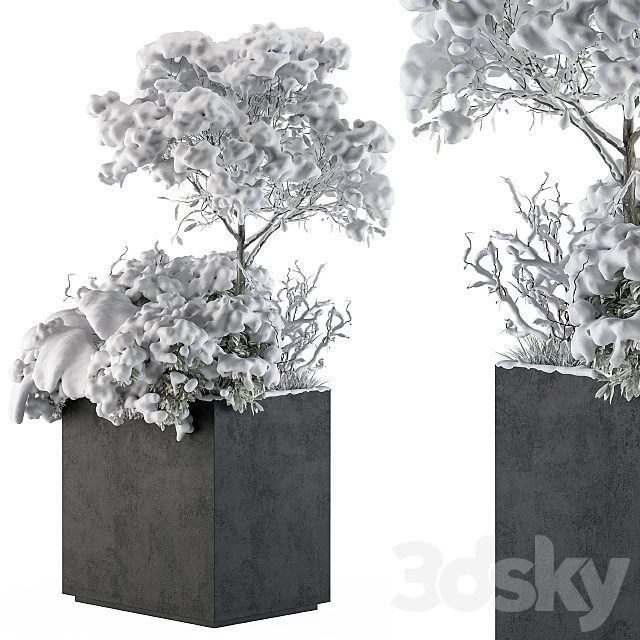 Outdoor Plants tree in Concrete Pot  Snow - Set 108