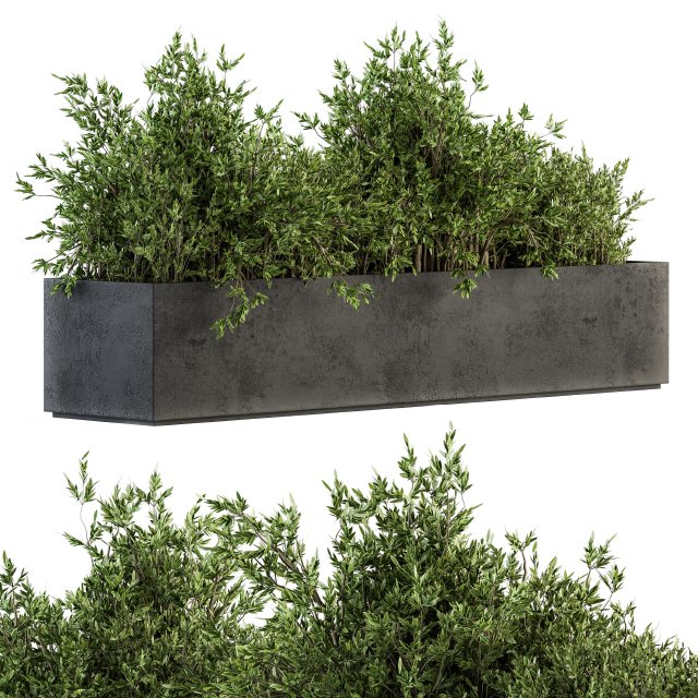 Outdoor Plants tree in Concrete Box - Set 126