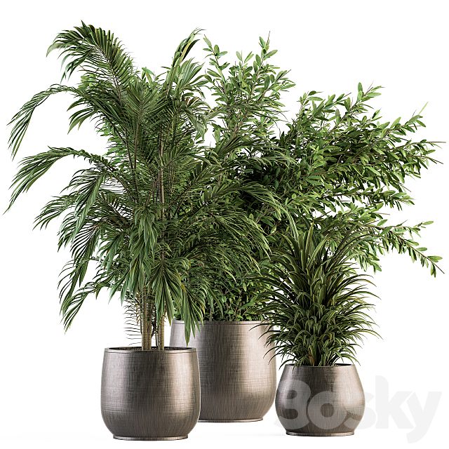 indoor Plant Set 112 - Tropical Plants