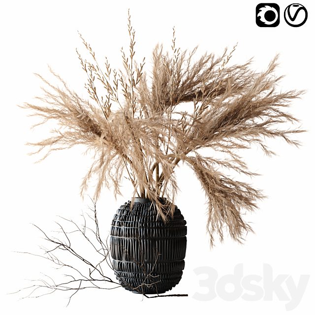 Brown pampas