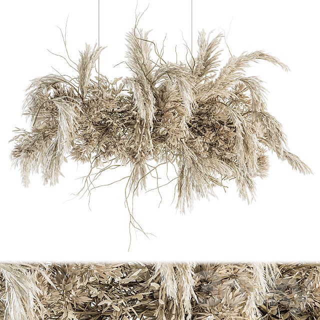 indoor Plant Set 121 - Dried Plant Hanging