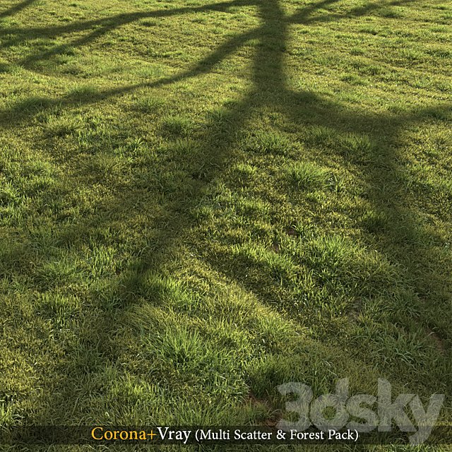 Grass landscape