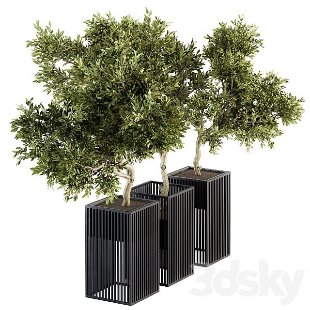 Outdoor Plants tree in Metal Pot - Set 134