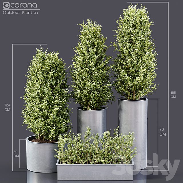 Outdoor Plants 01