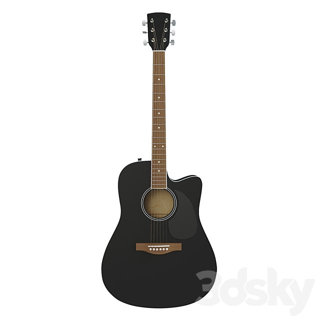 Acoustic guitar