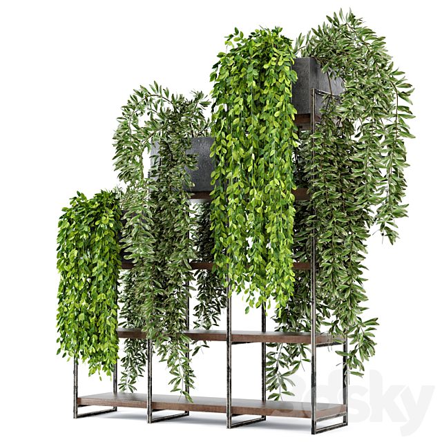 Indoor Plants in rusty Concrete Pot on Metal Shelf - Set 53