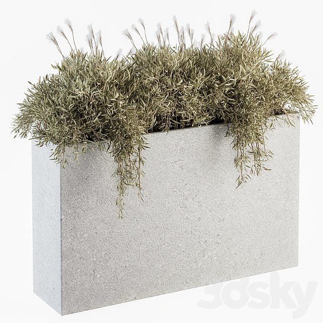 Outdoor Plants in Concrete Plant Box - Set 165