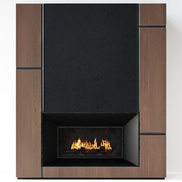 Fireplace modern 66