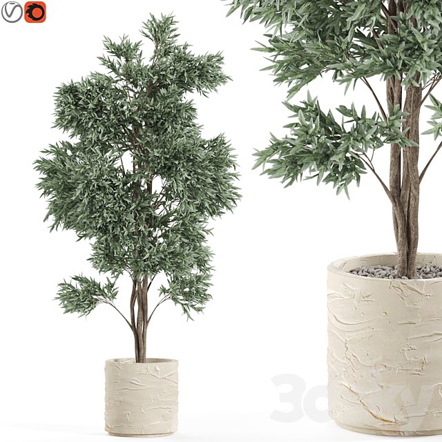 Plants collection 980