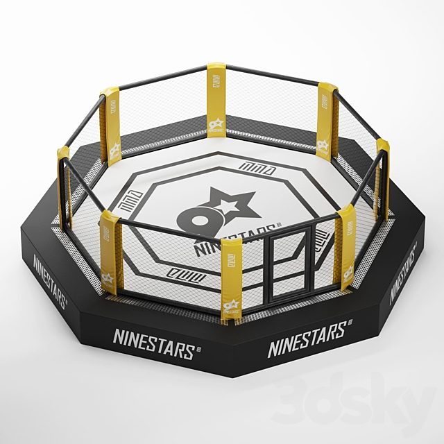 MMA arena octagon