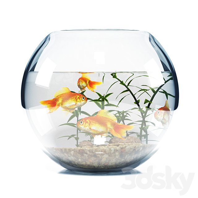 BOWL AQUARIUM