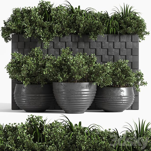 outdoor plant collection Box