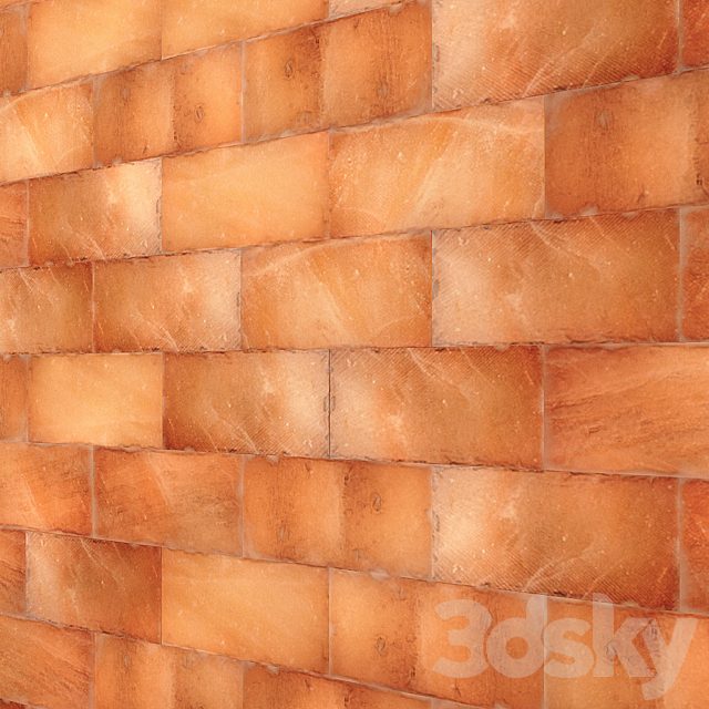 Himalayan salt wall